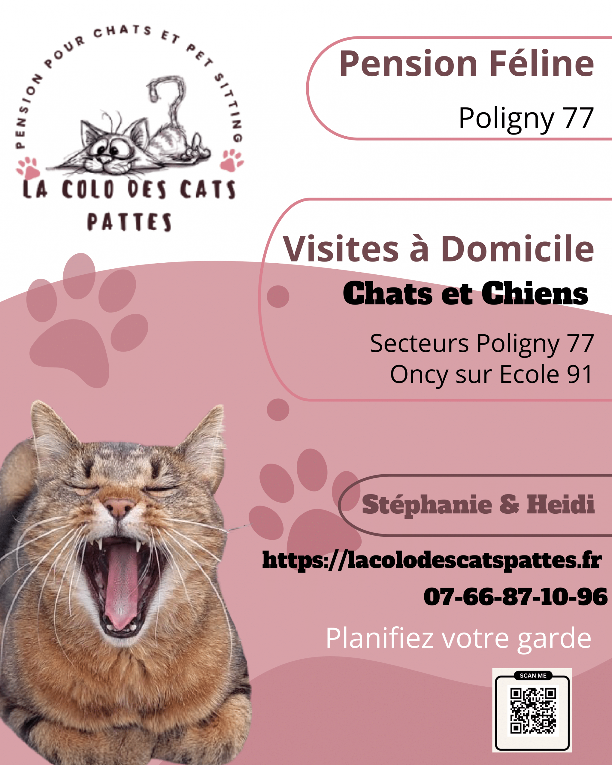Pension féline flyer (1)-1